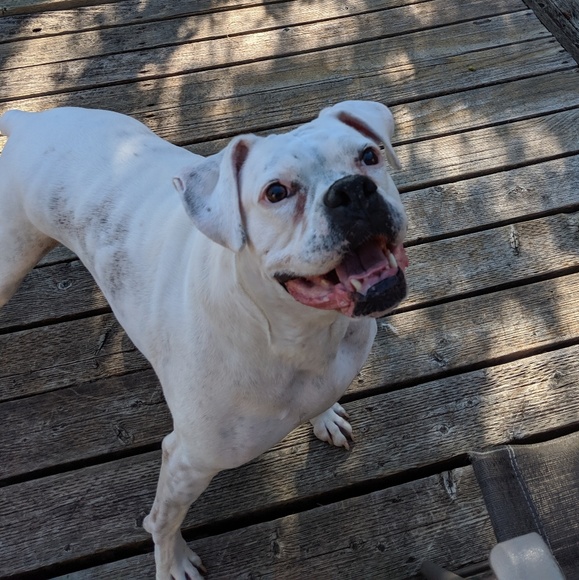 Click Here for Details - Picture 3 of 6